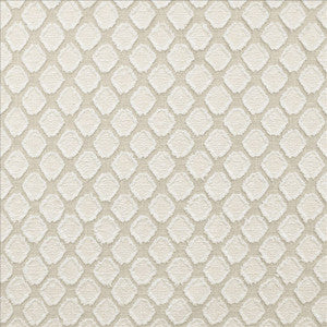 Amberlyn Natural by Kasmir Designer Fabric