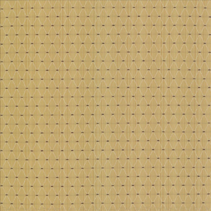 Amberlyn Trellis Sunshine by Kasmir Designer Fabric 8000 55% Polyester 45% Rayon CHINA 30,000 Wyzenbeek Double Rubs Horizontal: 1 inches and Vertical: 1 2/8 inches 54 - 56 - Swanky Fabrics -
