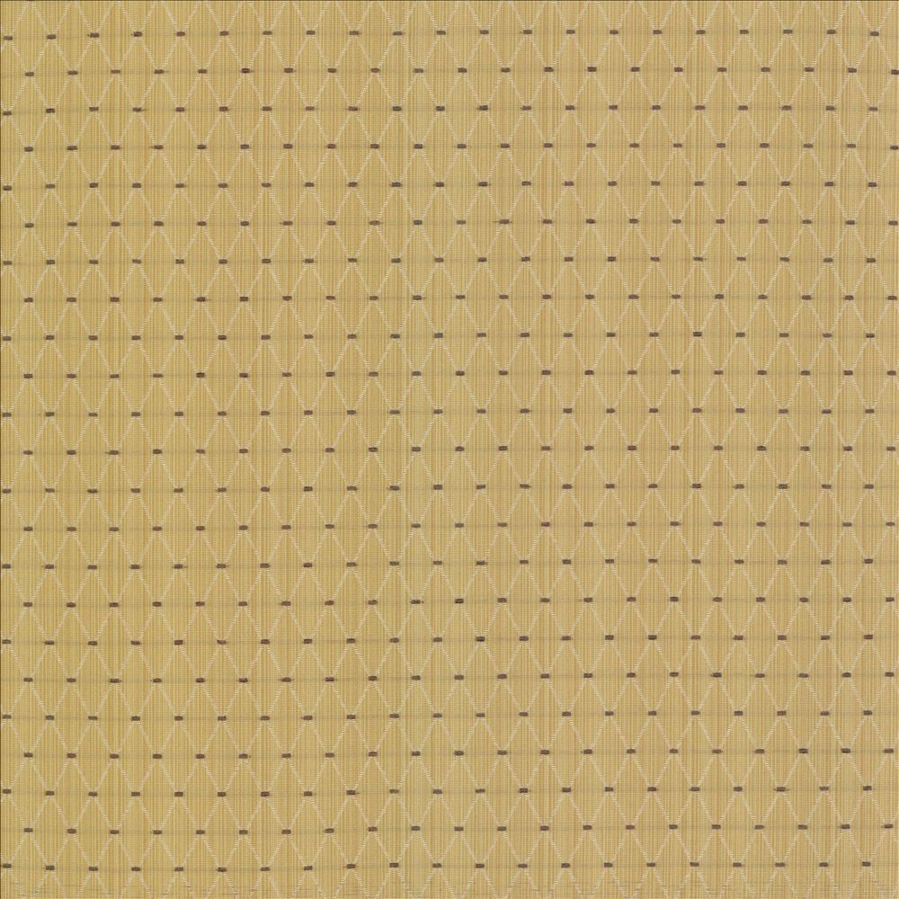 Amberlyn Trellis Sunshine  by Kasmir Designer Fabric 8000 55% Polyester
45% Rayon
 CHINA 30,000 Wyzenbeek Double Rubs Horizontal: 1 inches and Vertical: 1 2/8 inches 54  - Swanky Fabrics -