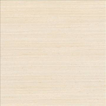 Anantara Champagne by Kasmir Designer Fabric 5059 100% Polyester INDIA 30,000 Wyzenbeek Double Rubs H: N/A, V: N/A 55 - 56 - Swanky Fabrics - Kasmir