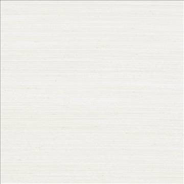 Anantara Linen by Kasmir Designer Fabric 5059 100% Polyester INDIA 30,000 Wyzenbeek Double Rubs H: N/A, V: N/A 55 - 56 - Swanky Fabrics - Kasmir