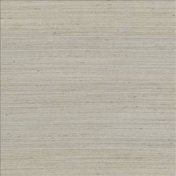 Anantara Natural by Kasmir Designer Fabric 5059 100% Polyester INDIA 30,000 Wyzenbeek Double Rubs H: N/A, V: N/A 55 - 56 - Swanky Fabrics - Kasmir