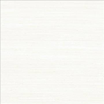 Anantara Off White by Kasmir Designer Fabric 5059 100% Polyester INDIA 30,000 Wyzenbeek Double Rubs H: N/A, V: N/A 55 - 56 - Swanky Fabrics - Kasmir