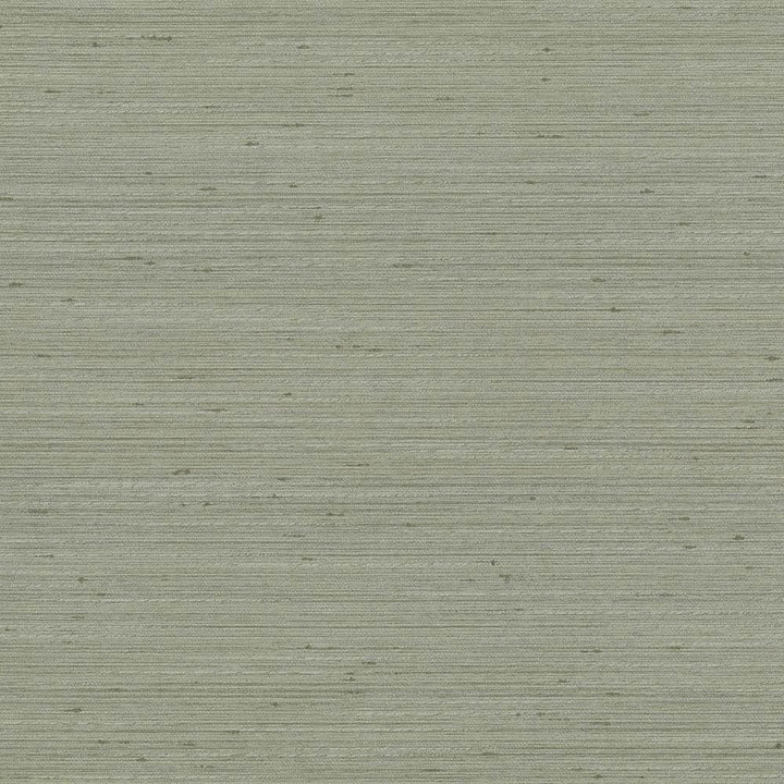 Anantara Silver Sage by Kasmir Designer Fabric 5059 100% Polyester
 INDIA </p><p>Repeat: Horizontal: N/A and Vertical: N/A 55 - 56 - Swanky Fabrics -