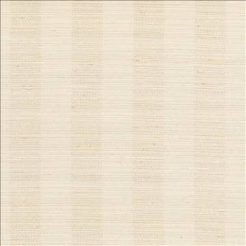 Anantara Stripe Champagne by Kasmir Designer Fabric 5059 100% Polyester INDIA 30,000 Wyzenbeek Double Rubs H: 2 6/8 inches, V: N/A 55 - 56 - Swanky Fabrics - Kasmir
