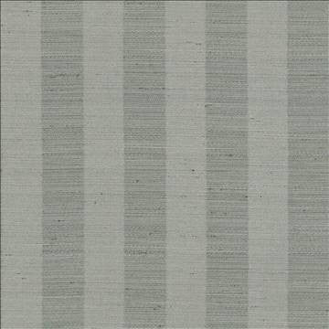 Anantara Stripe Taupe by Kasmir Designer Fabric 5059 100% Polyester INDIA 30,000 Wyzenbeek Double Rubs H: 2 6/8 inches, V: N/A 55 - 56 - Swanky Fabrics - Kasmir