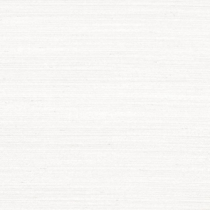 Anantara Winter White by Kasmir Designer Fabric 5059 100% Polyester INDIA 30,000 Wyzenbeek Double Rubs Horizontal: 0 Inches and Vertical: 0 Inches 55 - 56 - Swanky Fabrics -