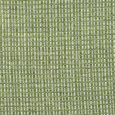 Out Verde by Gaston Y Daniela Designer Fabric