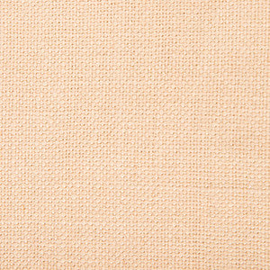 Nicaragua Arena by Gaston Y Daniela Designer Fabric