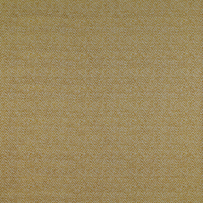 Santa Ana Lima by Gaston Y Daniela Designer Fabric