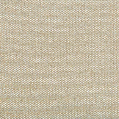 Kravet Smart 35393-116 by Kravet Smart Designer Fabric