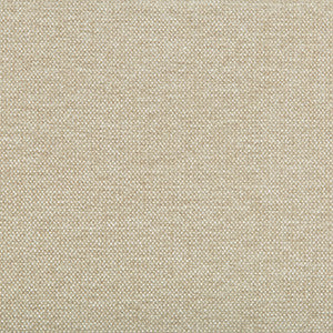 Kravet Smart 35393-116 by Kravet Smart Designer Fabric
