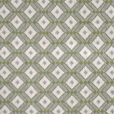 Ricardo Verde by Gaston Y Daniela Designer Fabric