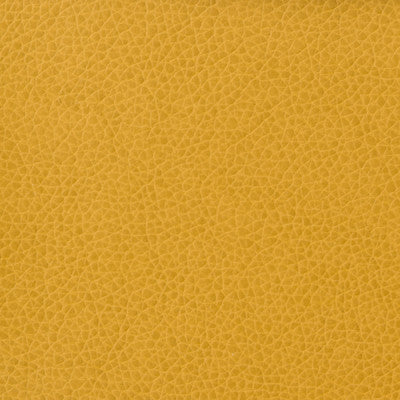 Kravet Basics Matter-414 by Kravet Basics Designer Fabric