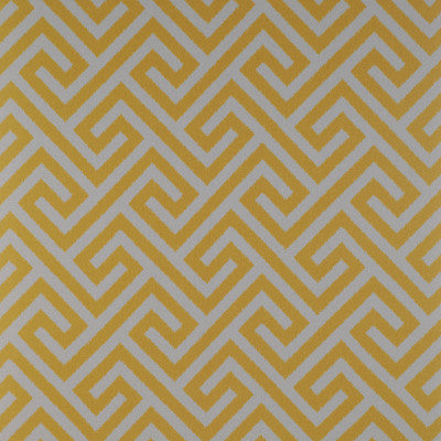 Trevi Amarillo by Gaston Y Daniela Designer Fabric