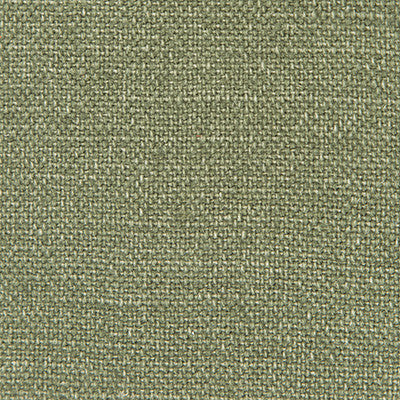 Nicaragua Verde Oscuro by Gaston Y Daniela Designer Fabric