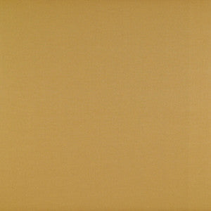 Recoletos Mostaza by Gaston Y Daniela Designer Fabric