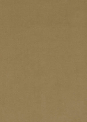 Milborne Bronze by Baker Lifestyle Designer Fabric