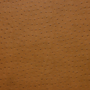 Kravet Design Senna-616 by Kravet Design Designer Fabric