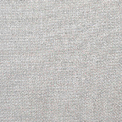 Shaba Crudo by Gaston Y Daniela Designer Fabric
