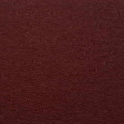 Kravet Design Gato-9 by Kravet Design Designer Fabric