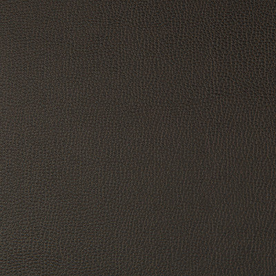 Lenox Java by Kravet Contract Designer Fabric