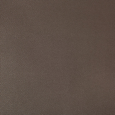 Syrus Espresso by Kravet Contract Designer Fabric