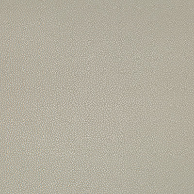 Syrus Stingray by Kravet Contract Designer Fabric