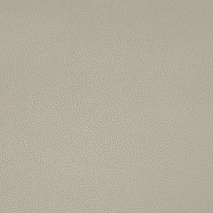 Syrus Stingray by Kravet Contract Designer Fabric
