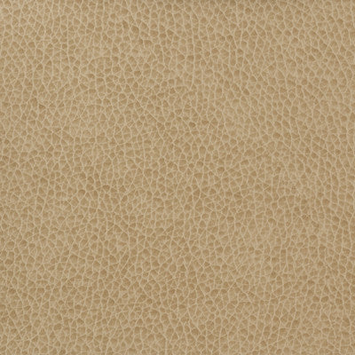 Kravet Basics Matter-1616 by Kravet Basics Designer Fabric