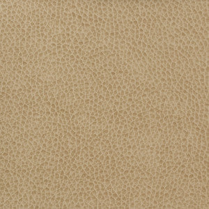 Kravet Basics Matter-1616 by Kravet Basics Designer Fabric