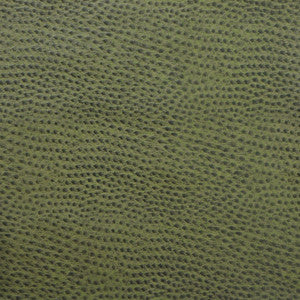 Kravet Design Delaney-3 by Kravet Design Designer Fabric