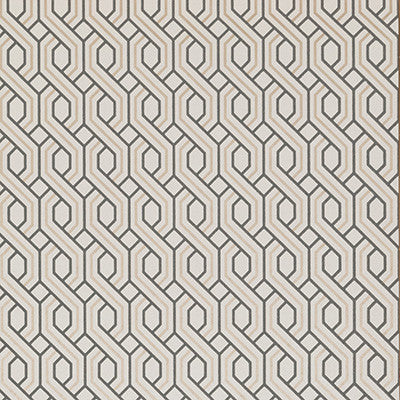 Boxwood Trellis Charcoal/Bronze by G P & J Baker Designer Wallcovering