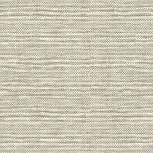 Kravet Basics 30299-106 by Kravet Basics Designer Fabric