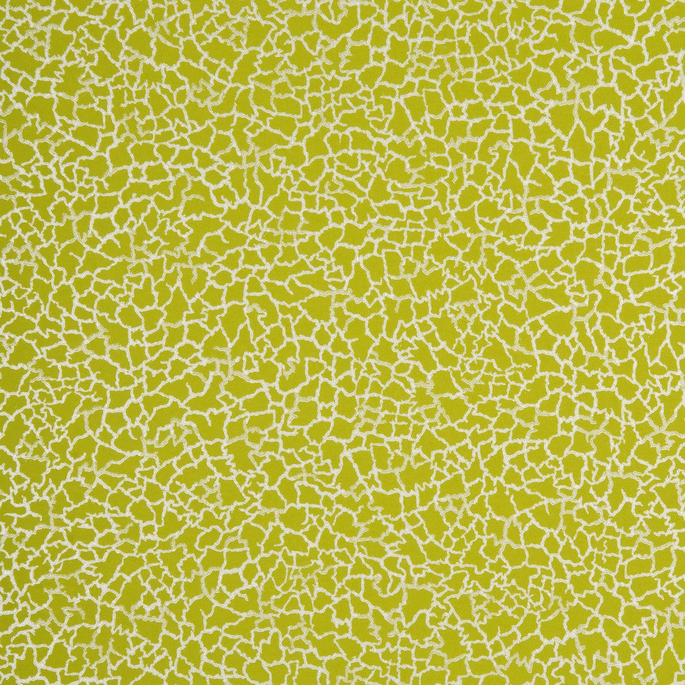 Ming Lime/Silver by Baker Lifestyle Designer Wallcovering