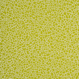 Ming Lime/Silver by Baker Lifestyle Designer Wallcovering