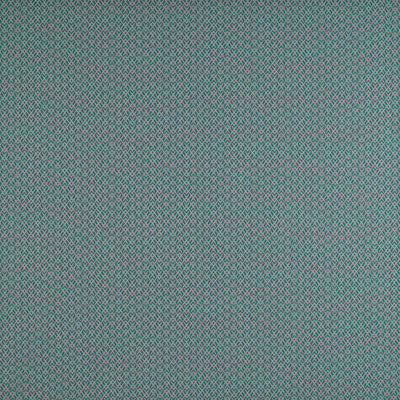 Chueca Turquesa by Gaston Y Daniela Designer Fabric