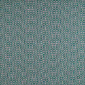 Chueca Turquesa by Gaston Y Daniela Designer Fabric