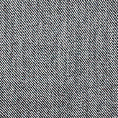 Victoria Plomo/Lino by Gaston Y Daniela Designer Fabric