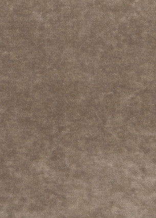 King'S Velvet Mink by G P & J Baker Designer Fabric