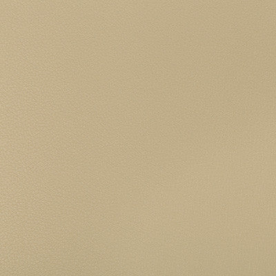 Syrus Stucco by Kravet Contract Designer Fabric