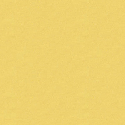Kravet Design 4070-116 by Kravet Design Designer Fabric