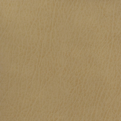 Kravet Basics Celine-106 by Kravet Basics Designer Fabric