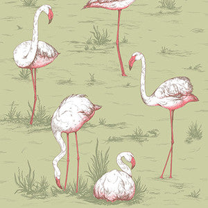 Flamingos Olive by Cole & Son Designer Wallcovering