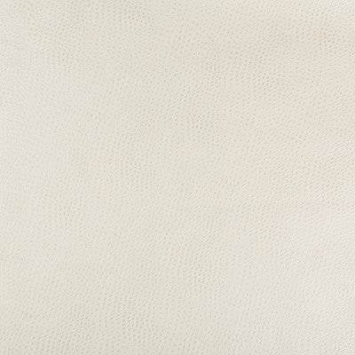 Kravet Design Hubble-111 by Kravet Design Designer Fabric