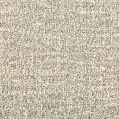 Adaptable Quartz by Kravet Design Designer Fabric