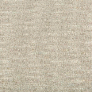 Adaptable Quartz by Kravet Design Designer Fabric