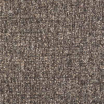 Telar Plomo by Gaston Y Daniela Designer Fabric