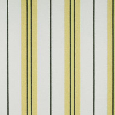 Burano Onyx/Amarillo by Gaston Y Daniela Designer Fabric