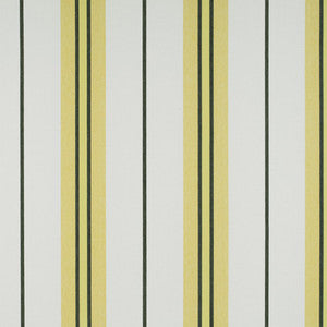 Burano Onyx/Amarillo by Gaston Y Daniela Designer Fabric